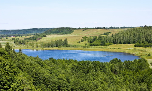 Экология земли Псковской